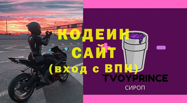 хмурый Лиски